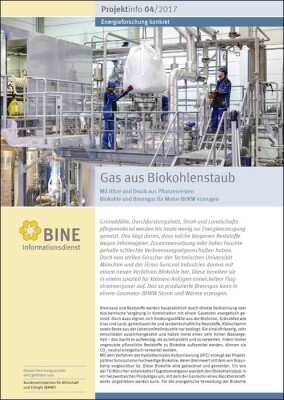 Biokohle-Vergasung: Neues Verfahren zur energetischen Erschließung von biogenen Reststoffen für BHKWs