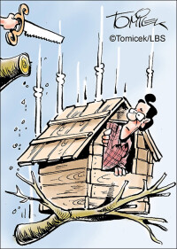 Urteile deutscher Gerichte zum Themenkreis Spielhaus und Geräteschuppen