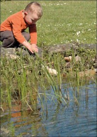 Kinderfallen Gartenteich, Planschbecken, Swimming-Pool