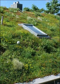 Neuer Schubhalter aus Edelstahl für Schrägdachbegrünungen von ZinCo