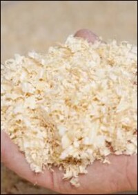 Bio-Dämmstoff HOIZ erhält eigene ÖKOBAUDAT-Kategorie