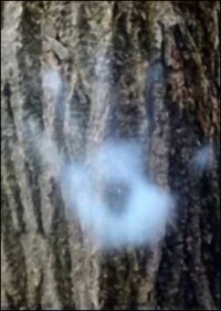 Thermochromische Fensterfolie vom MIT soll Klimatisierungskosten um bis zu 10% senken