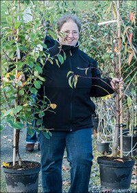 Starke Nachfrage nach Gehölzen treibt in Baumschulen die Preise