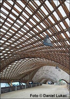 Mannheimer Multihalle von Frei Otto in Venedig zur Biennale