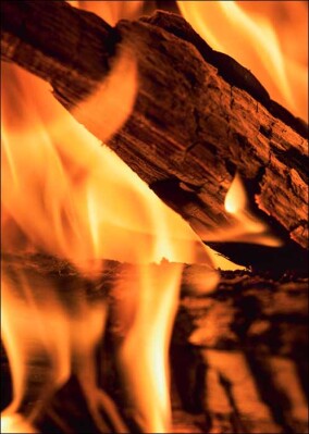 „Akute Panikstörung des Umweltbundesamtes“