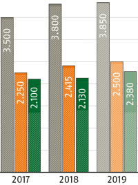 Rekordproduktion von Holzpellets 2018, Absatz von Pellet-Feuerungen moderat gestiegen