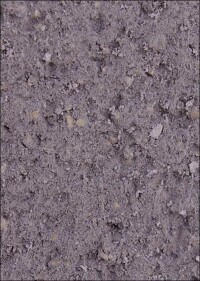 Presto One: Derzeit Deutschlands einziger Einlagen-Kratzputz