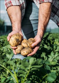 Lasur und Innenwandfarbe mit Bindemitteln aus nachhaltigen Rohstoffen neu von Caparol