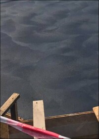 Gleichmäßig farbiger Sichtestrich dank flüssigem Estrichfärbemittel