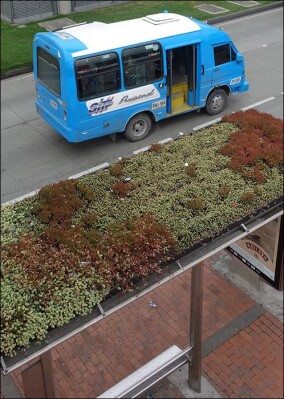 BuGG freut sich über Begrünung der Bushaltestellen in Utrecht