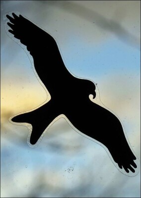 Grundsätzliches zu Vogelschutzglas und Alternativen