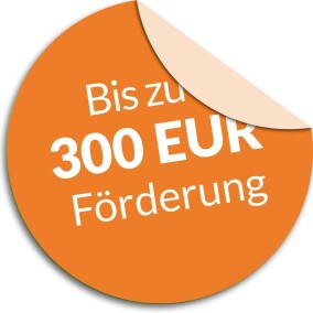 Förderung unterstützt Optimierung von Speicherheizungen mittels Aufladesteuerung