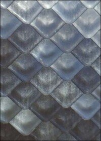 Braas rückt seinen Dachziegel Smaragd mal wieder in die erste Reihe