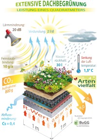 Die Leistung von einem Quadratmeter (1 m²) Gebäudebegrünung auf einen Blick