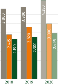 2019 Rekord beim Holzpellets-Absatz, Kesselzahlen ziehen langsam nach