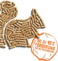 Auch Pelletheizungen und -öfen profitieren vom 2020er Marktanreizprogramm (MAP)