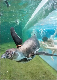 180 m individuell gestaltete Sitzbänke für das Spreewelten Bad