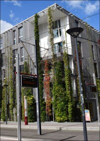 Bundesverband Gebäudegrün startet DBU-geförderte Dialogreihe mit Städten und Kommunen