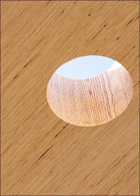 Neue massive Decken- und Dachelemente von Steico aus verklebten Furnierschichtholz