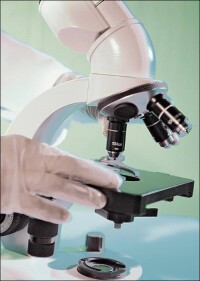 Mehr als jede zehnte von Techem beprobte Trinkwasseranlage von Legionellen befallen