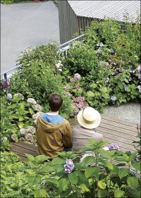 Denkanstöße für gesunde Städte in der Nach-Corona-Zeit entwickeln