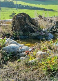 Neues Gründach-Paket von Bauder: „Biotop“ für mehr Biodiversität auf kleinen Flächen 