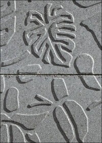 MyLine Jungle: Üppige Blütenpracht per Terrassenbelag von F.C. Nüdling 