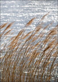 350 Mio. Euro für Wasserforschung