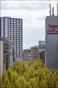 Landschaftsgärtner fordern u.a. für Kommunen „grüne Milliarde“ pro Jahr