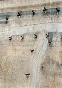 Injektionsharz speziell für Abdichtungsaufgaben in der Landwirtschaft - aber nicht nur