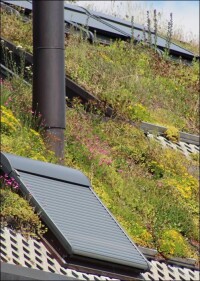 Ein Plädoyer für die Schrägdachbegrünung ab 10° bis 25° bzw. 35°