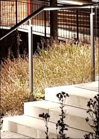 LED-Handlaufbeleuchtung im Sinne der Nachhaltigkeit