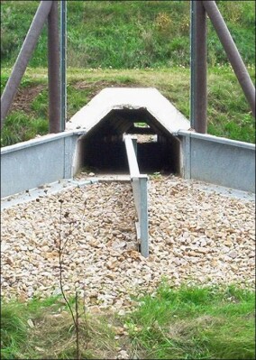 Amphibienschutz rund um Verkehrswege