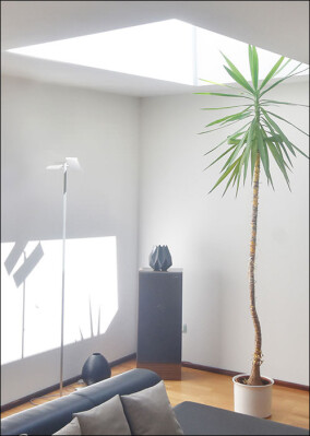 Lichtdurchflutung trotz enger Innenstadtlage - Flachdachfenstern sei dank