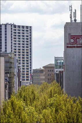 Bund fördert naturnahe Grünflächen in Städten