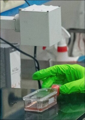 Planibel Easy-Glas von AGC reduziert zusammen mit Tageslicht Covid-19-Kontamination