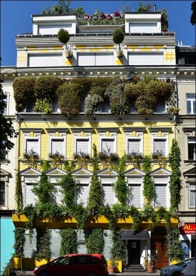 Fassadenbegrünung des Jahres 2020: Grüne Vielfalt an nur einer Häuserwand in Wien