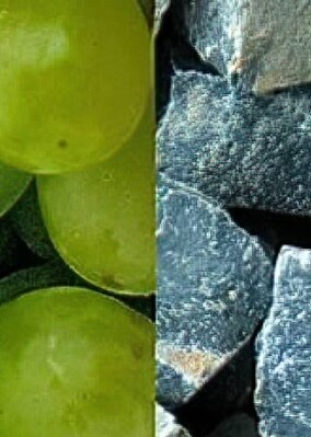 Architekturpreis Wein 2022 ausgelobt