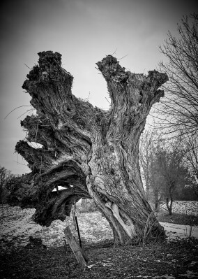 Workshop: Wissen, was fotografisch geht