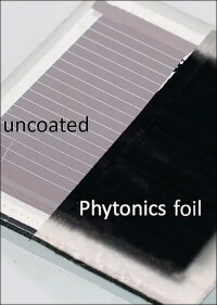 Bionische Anti-Glare-Beschichtung für Solarmodule