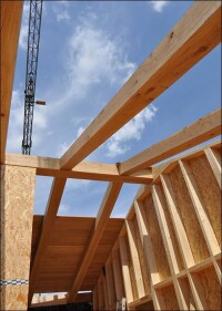 Emissionen aus Holzwerkstoffen vor einer Richtlinien-Änderung im Natureplus-Dialog