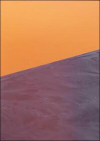 Durchgängige Bodenbeschichtung im Orange Campus Neu-Ulm für den Basketballnachwuchs