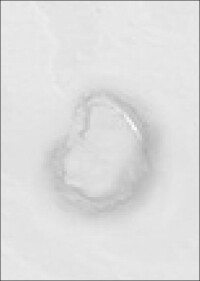 Neuer wasserbasierender Lack mit isolierendem Aufbau gegen das Durchschlagen von Astansätzen