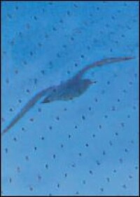 Vogelschutzglas bis zu einer Größe von 3,60 x 20 Meter