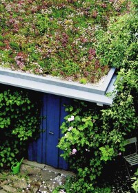 Dachbegrünungs-Pakete verschiedener Hersteller im Angebot von BayWa