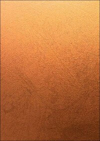 Bionische Fassadenfarbe mit Metalliceffekt: StoColor Dryonic M