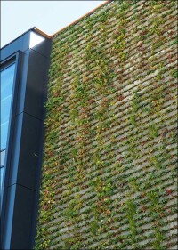 Fassadenbegrünung mit Pflanzenmix auf der Nordseite des Büroneubaus OWP12 von Drees & Sommer