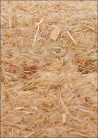 Holzfaserdämmung nähert sich mit STEICOflex 036 den λ-Werten konventioneller Dämmstoffe