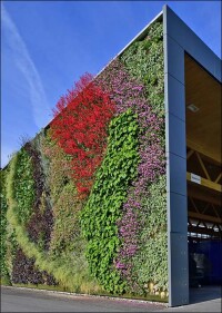 BuGG-Fassadenbegrünung des Jahres 2022: Vertikaler Garten der BLS Werkstätten in Bönigen