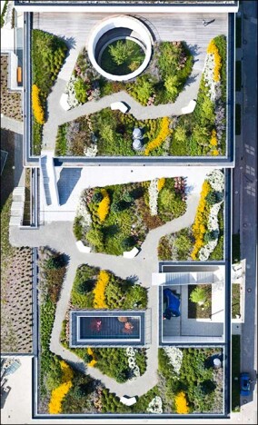 Sieger „BuGG-Gründach des Jahres“ 2021: Max-Planck-Institut für Struktur und Dynamik der Materie